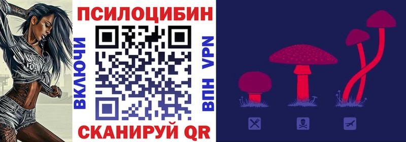 Псилоцибиновые грибы MAGIC MUSHROOMS  hydra ТОР  Козьмодемьянск  купить  